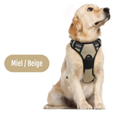 ARNES PECHERA CON DOBLE ARGOLLA