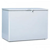 Congelador Horizontal 380 Lts
