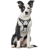 ARNES REFLECTIVO PREMIUM 2XL