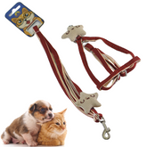 ARNES Y CORREA ESTRELLITA