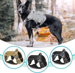 ARNES ENTRENAMIENTO RAZAS FUERTES TALLA XL