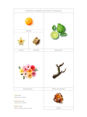 Ilmin Il dolce (unisex)