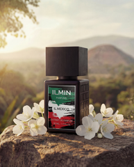 Ilmin Il Mexico (masculino)