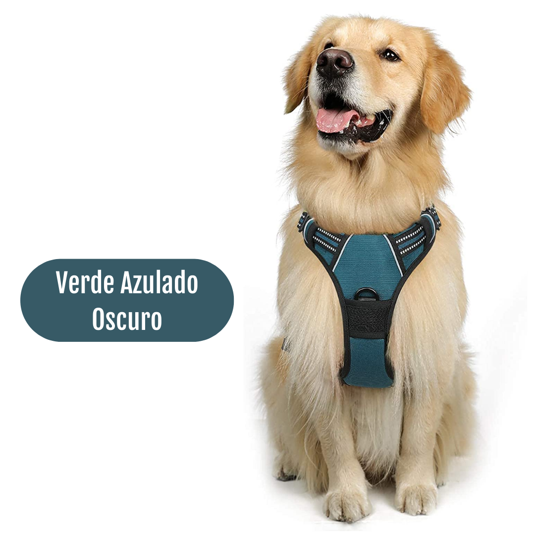 ARNES PECHERA CON DOBLE ARGOLLA