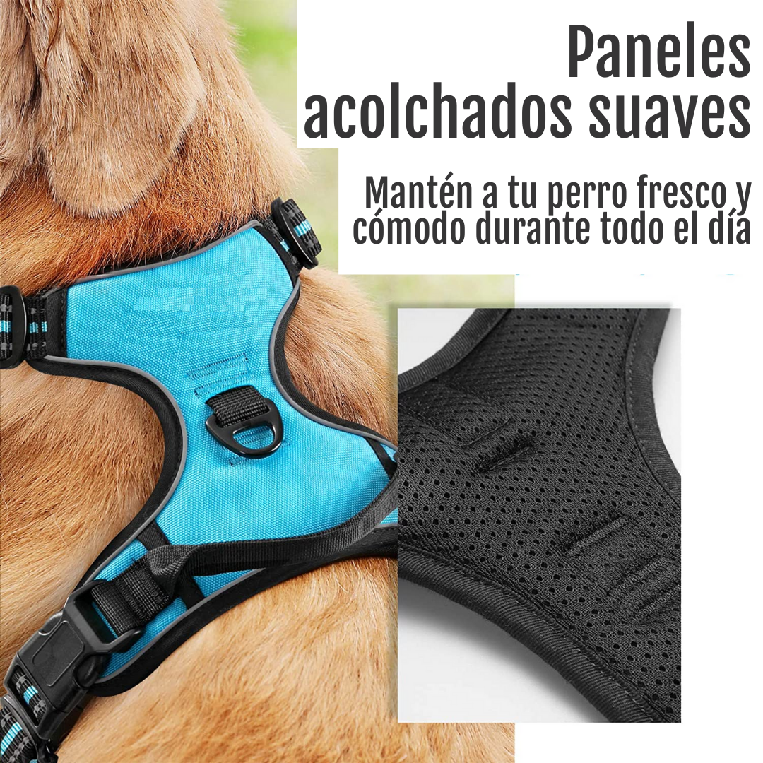ARNES PECHERA CON DOBLE ARGOLLA