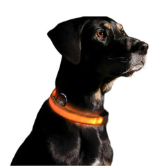 Collar con luces LED caminatas nocturnas para mascotas