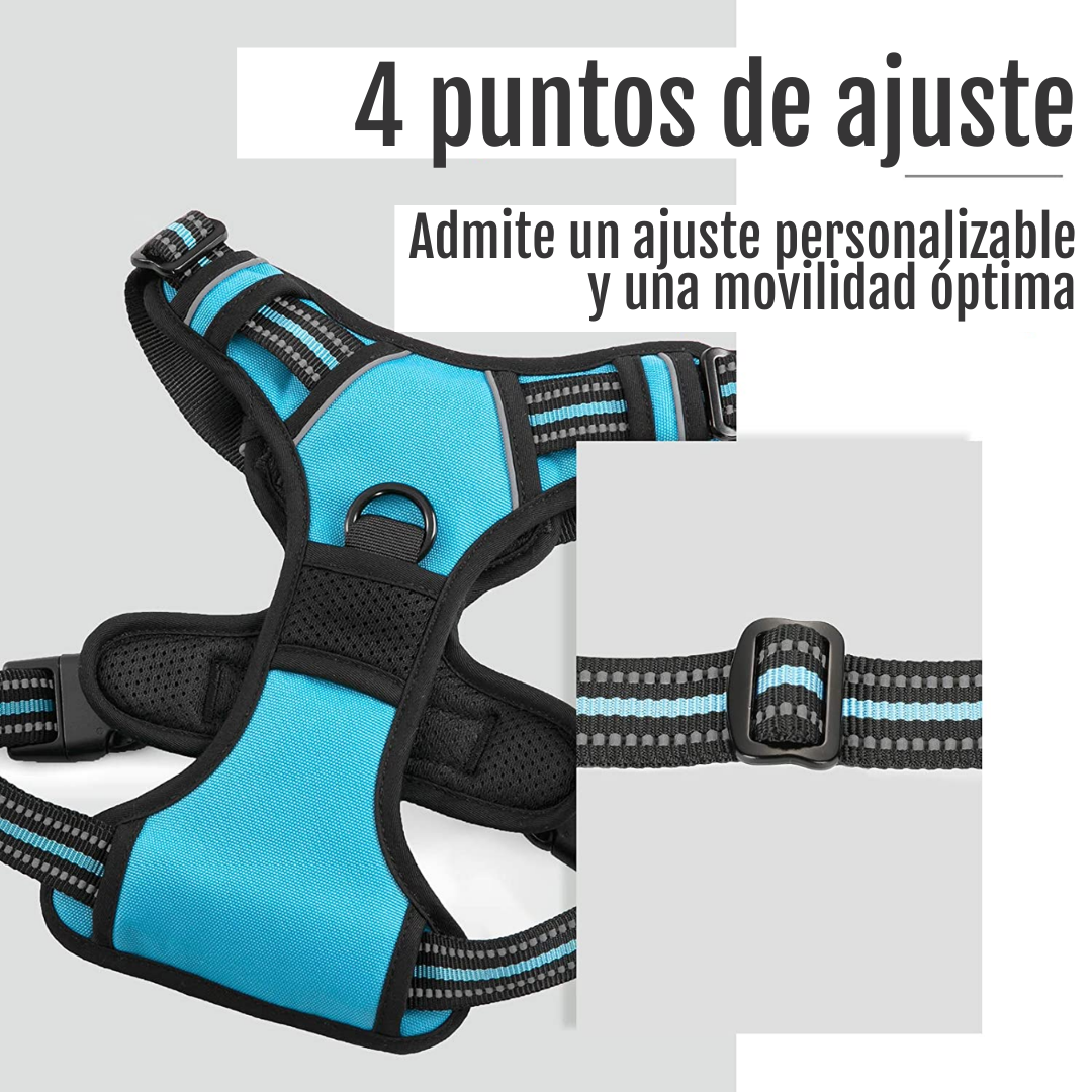 ARNES PECHERA CON DOBLE ARGOLLA