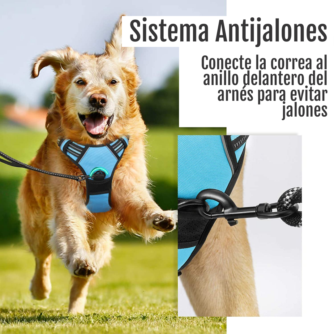ARNES REFLECTIVO PREMIUM 2XL