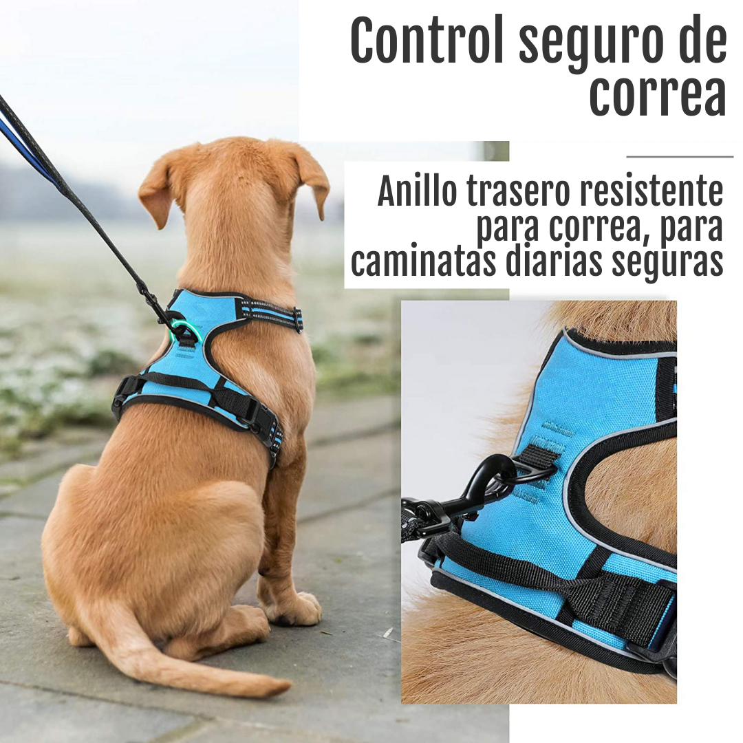 ARNES PECHERA CON DOBLE ARGOLLA