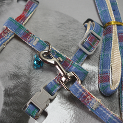 ARNES MULTICOLOR CASCABEL TALLA L