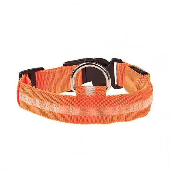 Collar con luces LED caminatas nocturnas para mascotas