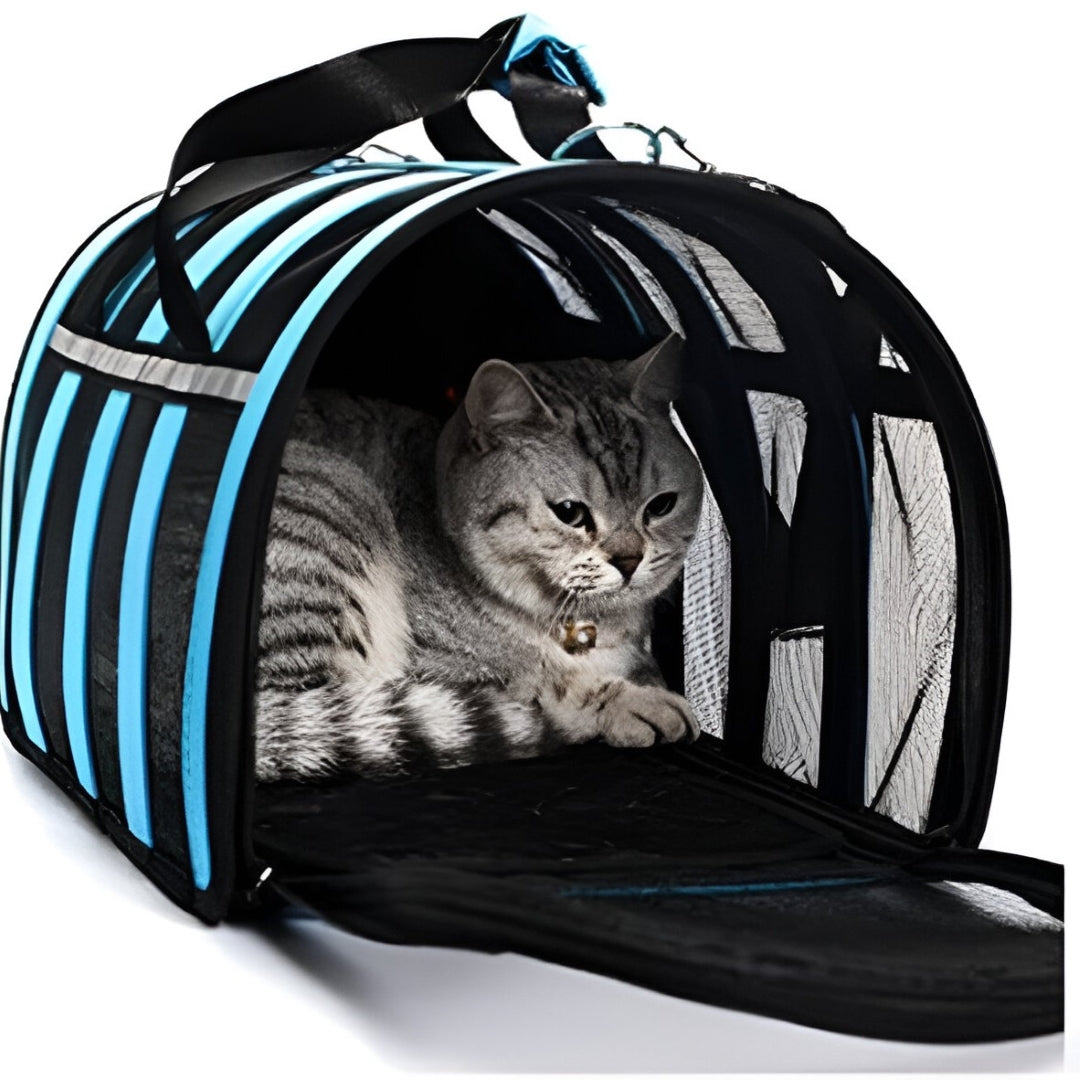 Mochila  Transpirable Para Mascota PET BAG azul