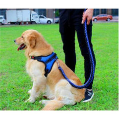 ARNES CON TRAILLA TRENZADA TALLA M
