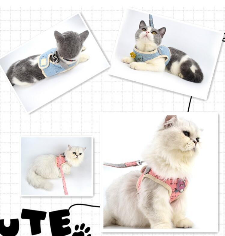 ARNES CHALECO PERROS/GATO S